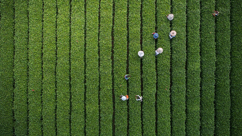 從聶市鎮(zhèn)開(kāi)始，征服世界！